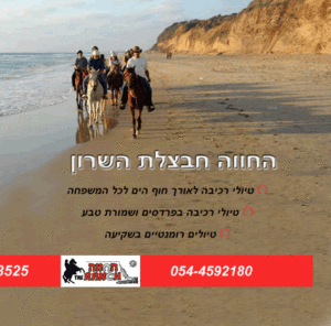 סוסים