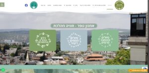 אמנון גופר - חוויה מהלכת